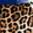 Предпросмотр схемы вышивки «LEOPARD» (№356963)