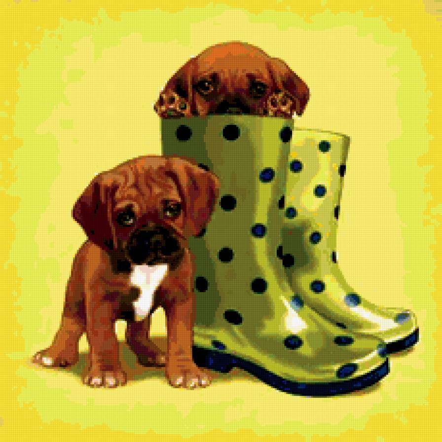 Собака - предпросмотр