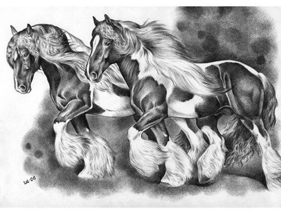 Кони - кони, животные, лошади - оригинал