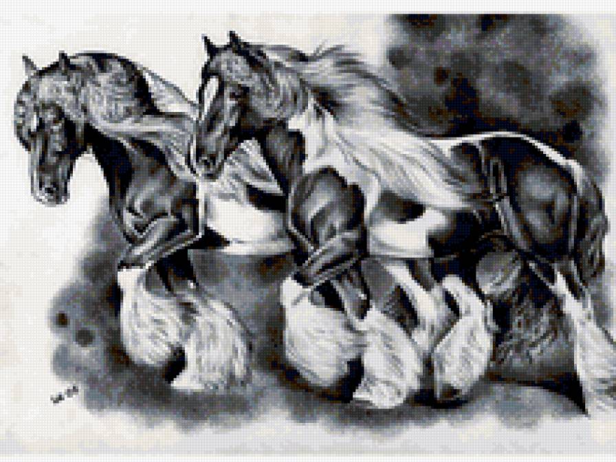 Кони - лошади, животные, кони - предпросмотр