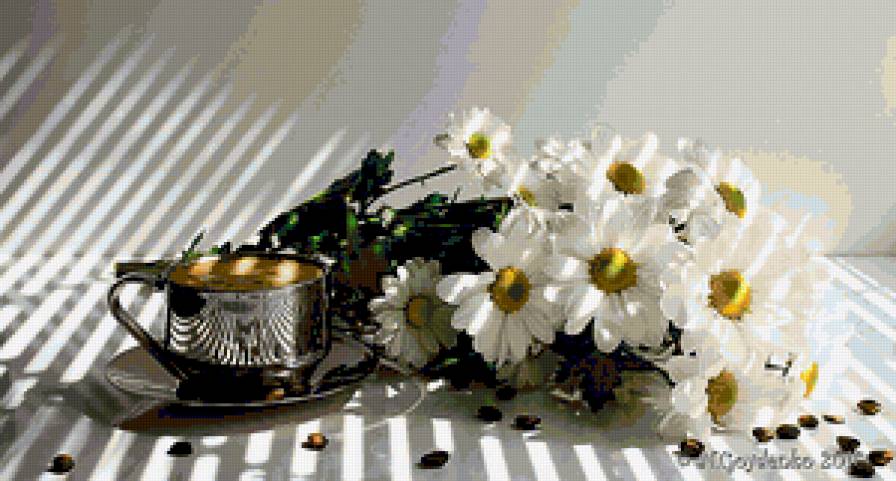 ромашки - предпросмотр