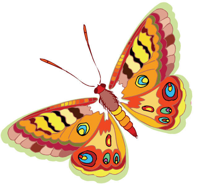 Яркая бабочка - оригинал