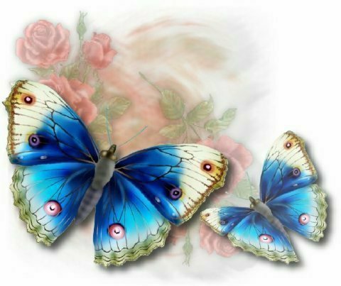 Синие бабочки - оригинал