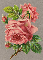 Оригинал схемы вышивки «розы-305» (№357389)