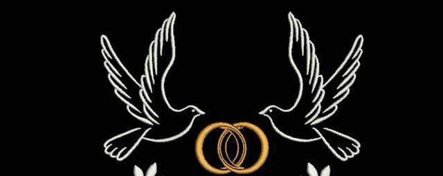 Голуби - пара - оригинал