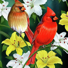 Схема вышивки «№357655»