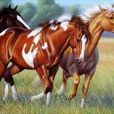 Оригинал схемы вышивки «№357656»