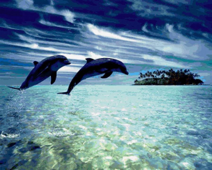 Дельфины - море, остров - предпросмотр