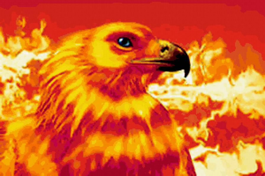 №357743 - предпросмотр