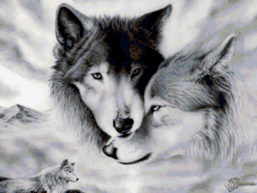 пара - волки, пара, животные - предпросмотр