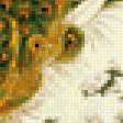 Предпросмотр схемы вышивки «Павлин» (№357828)
