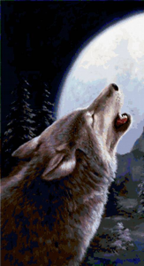 Одиночество. часть 1 - волки, анималисты, животные - предпросмотр