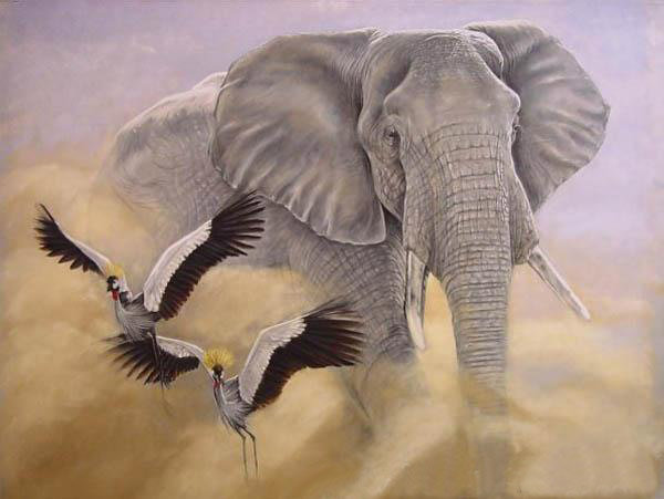 слон - африка - оригинал