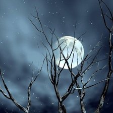 Схема вышивки «Тишина»