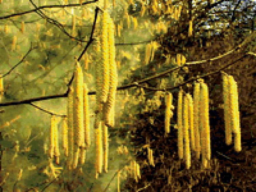 Серьги - красавицам - природа - предпросмотр