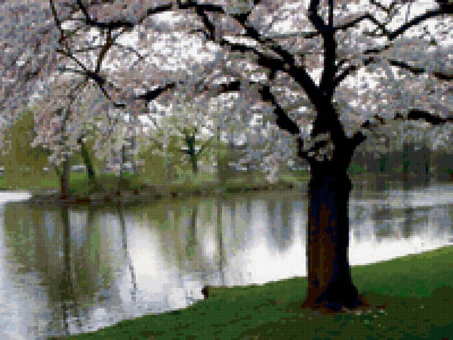 Прохлада - природа, вода - предпросмотр