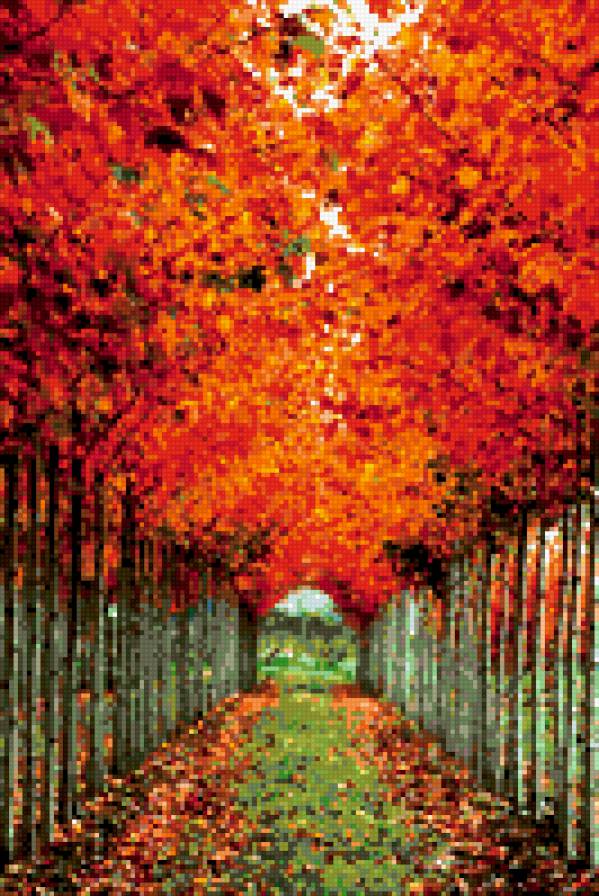 Парад - природа, осень - предпросмотр