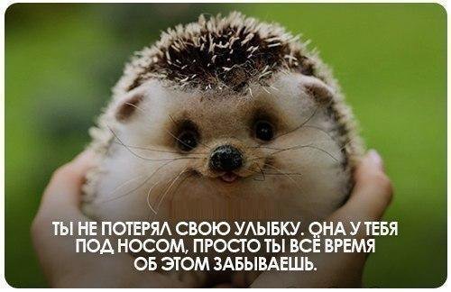 Найди её - животные, надписи - оригинал