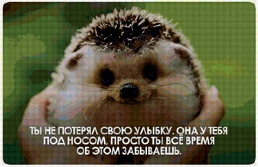 Найди её - надписи, животные - предпросмотр