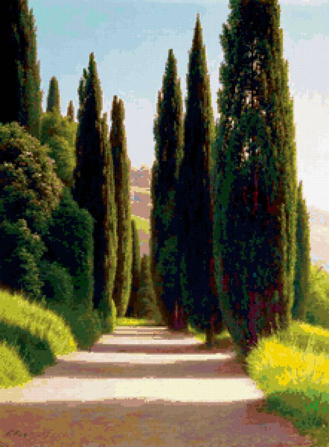 "Окраина Алупкинского парка Аллея" Г. Кондратенко - парк, аллея, деревья - предпросмотр