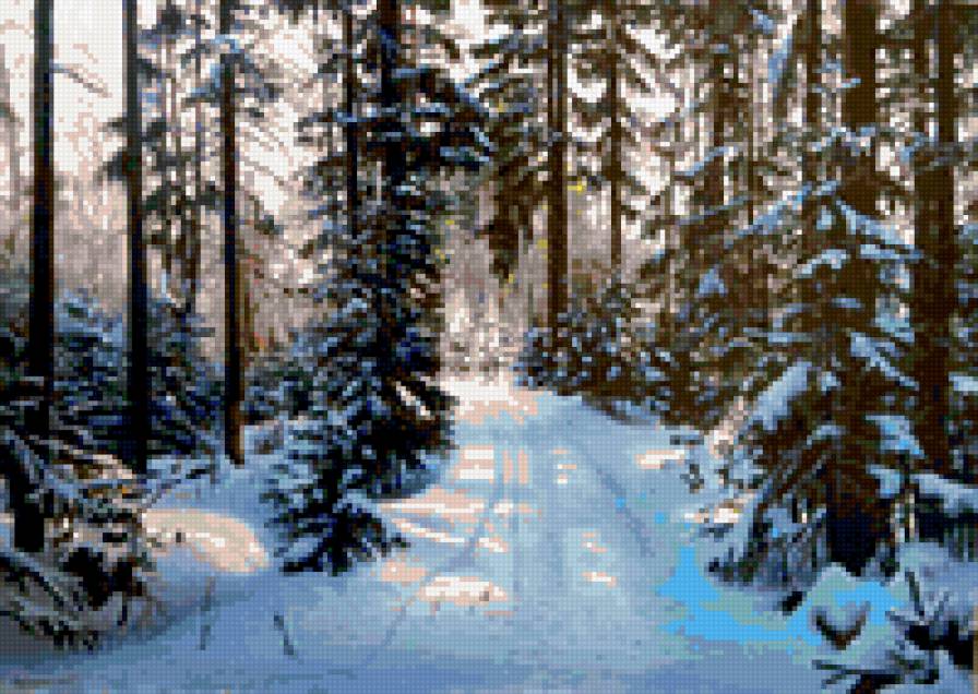 Зосич Юрий Александрович "дорога в зимнем лесу" - ели, лес, зима, дорога - предпросмотр