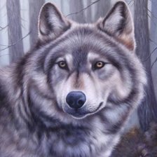 Оригинал схемы вышивки «Сергей Владимирович Минаев . Картина : Волк.» (№358180)