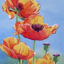 Схема вышивки «маки»