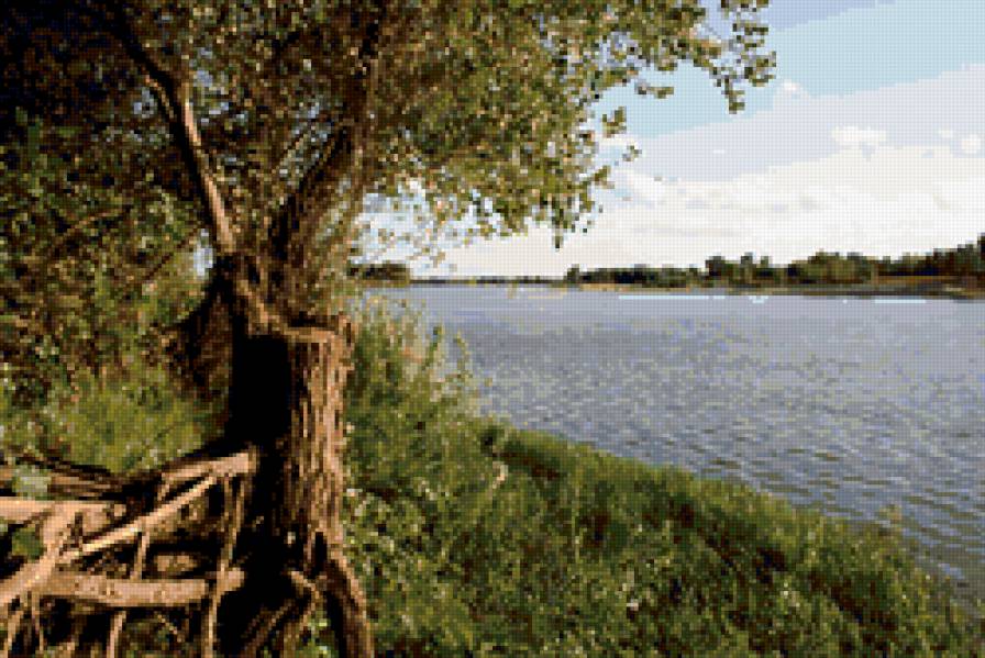 Серия: По моим фотографиям - фотография, авторская работа, головенская яна - предпросмотр