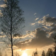 Схема вышивки «Серия: По моим фотографиям»