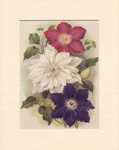 №358363 - оригинал