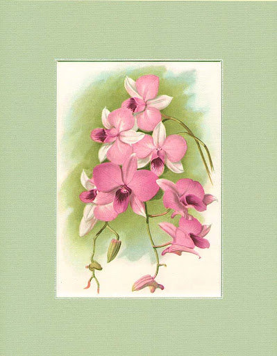 №358366 - оригинал