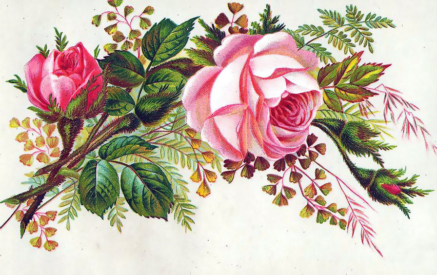 роза - оригинал