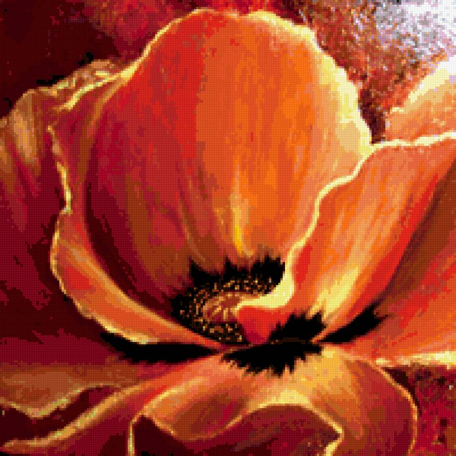 маки - цветы - предпросмотр