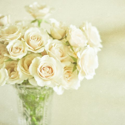 Белые розы - букет, цветы - оригинал