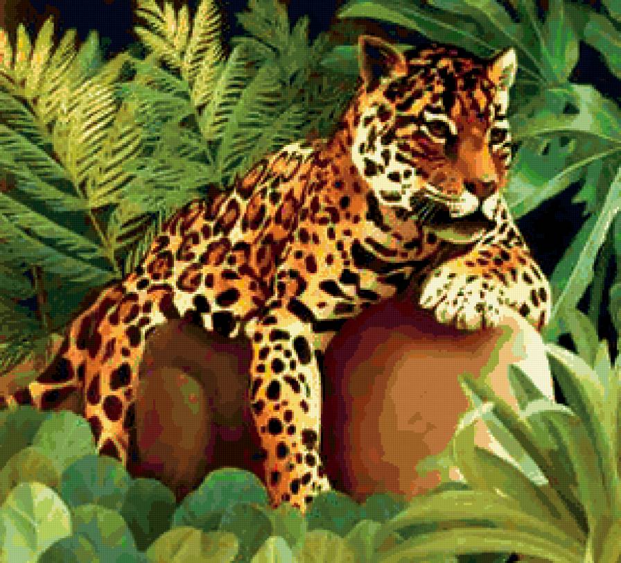 большие кошки - предпросмотр