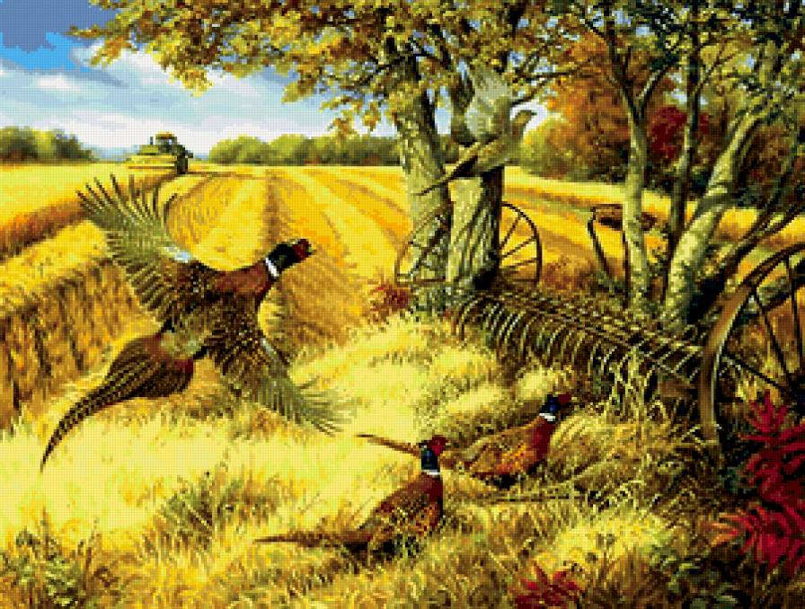 Linda Picken. - поле, птицы, пейзаж - предпросмотр