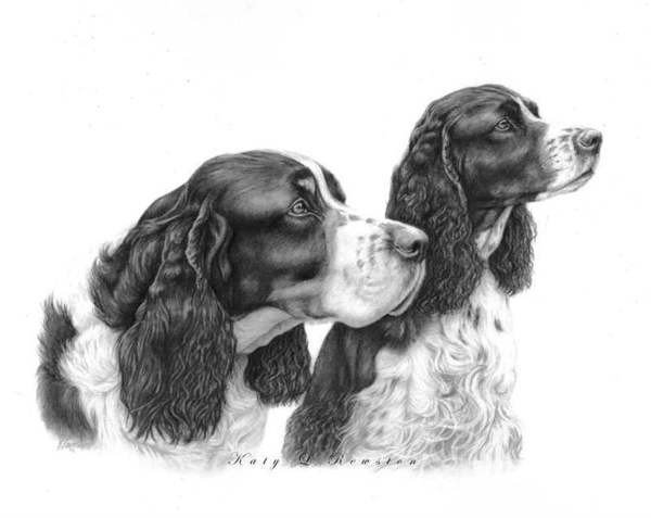 Собака - оригинал