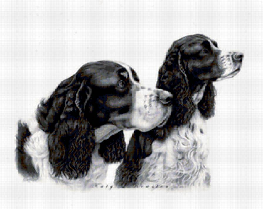 Собака - предпросмотр