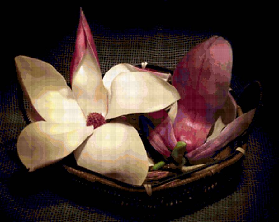 цветы - предпросмотр