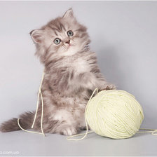 Схема вышивки «котенок и клубок»