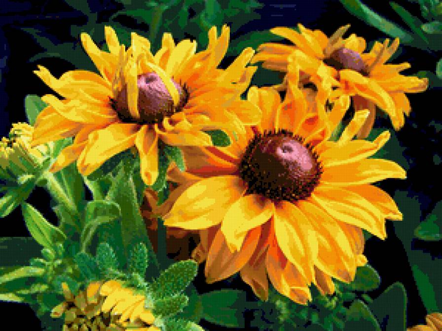 цветы - предпросмотр