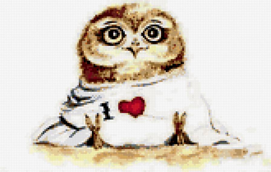 Совушка - юмор, птицы - предпросмотр