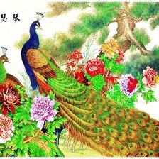 Схема вышивки «павлин»