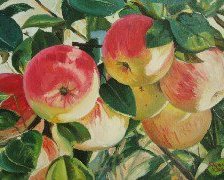 Оригинал схемы вышивки «яблоки» (№359153)