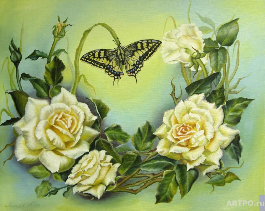 розы - бабочка, цветы - оригинал