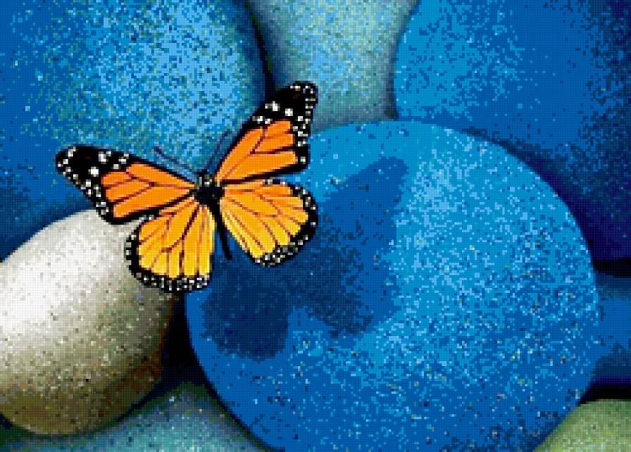 бабочка - лето, цветок, красота, насекомые, бабочка - предпросмотр