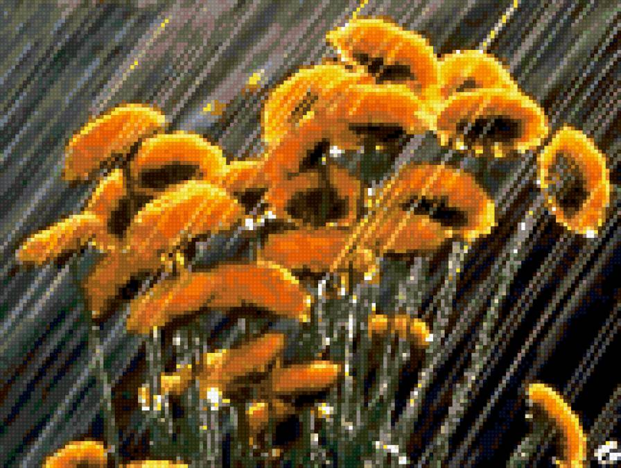 дождь - предпросмотр