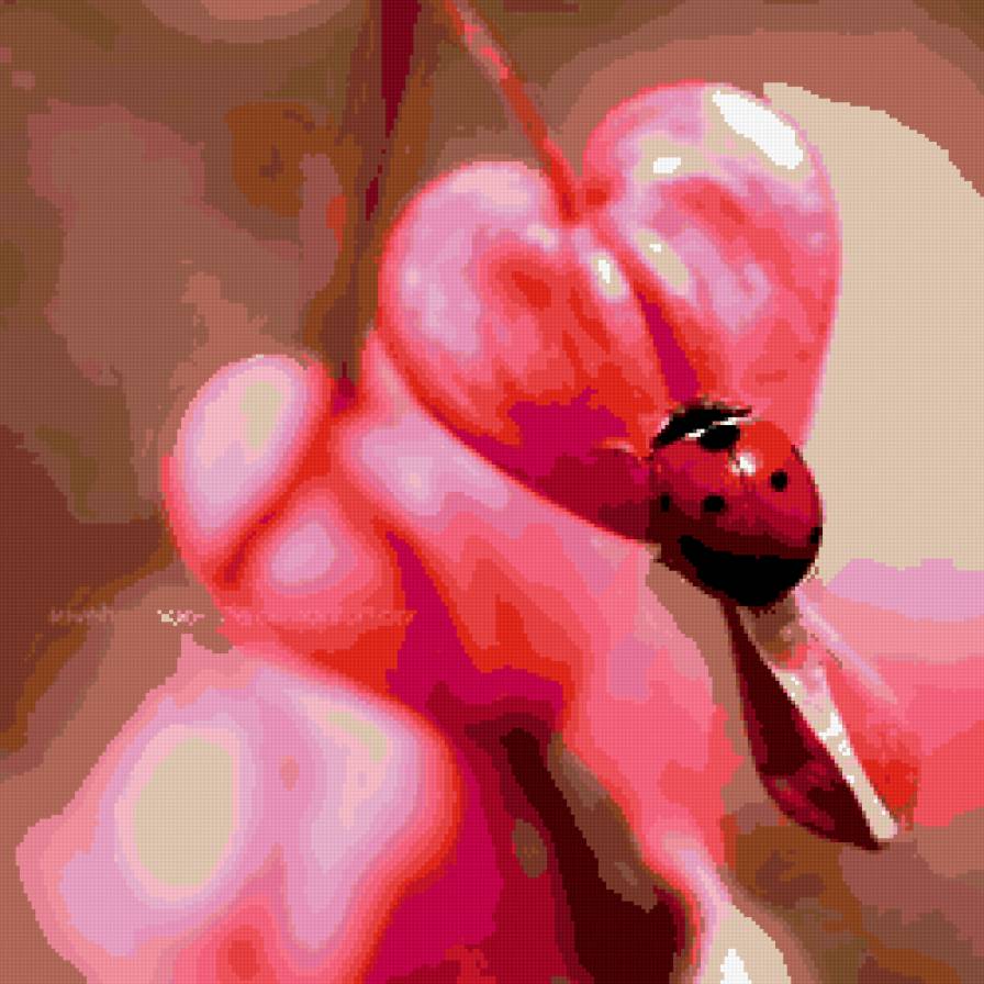 божья коровка - цветок, красота, розовое, природа, божья коровка - предпросмотр