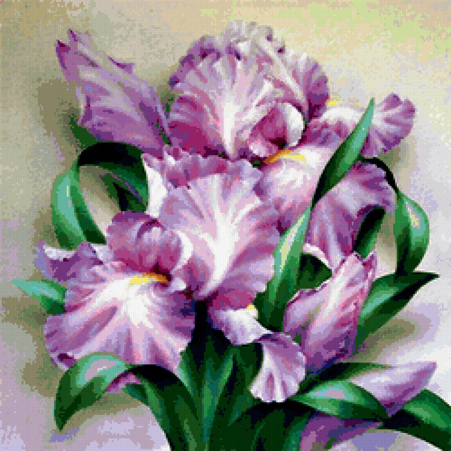 цветы - ирисы, букет, цветы, красота - предпросмотр