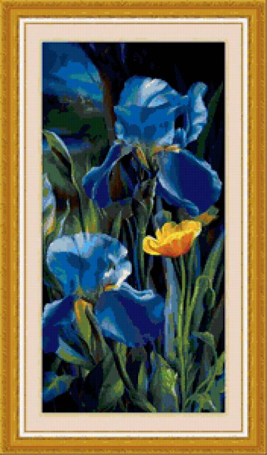 ирисы - предпросмотр